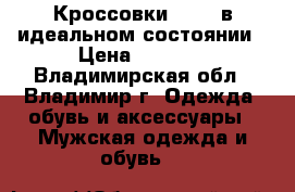 Кроссовки ASCOT в идеальном состоянии › Цена ­ 2 000 - Владимирская обл., Владимир г. Одежда, обувь и аксессуары » Мужская одежда и обувь   